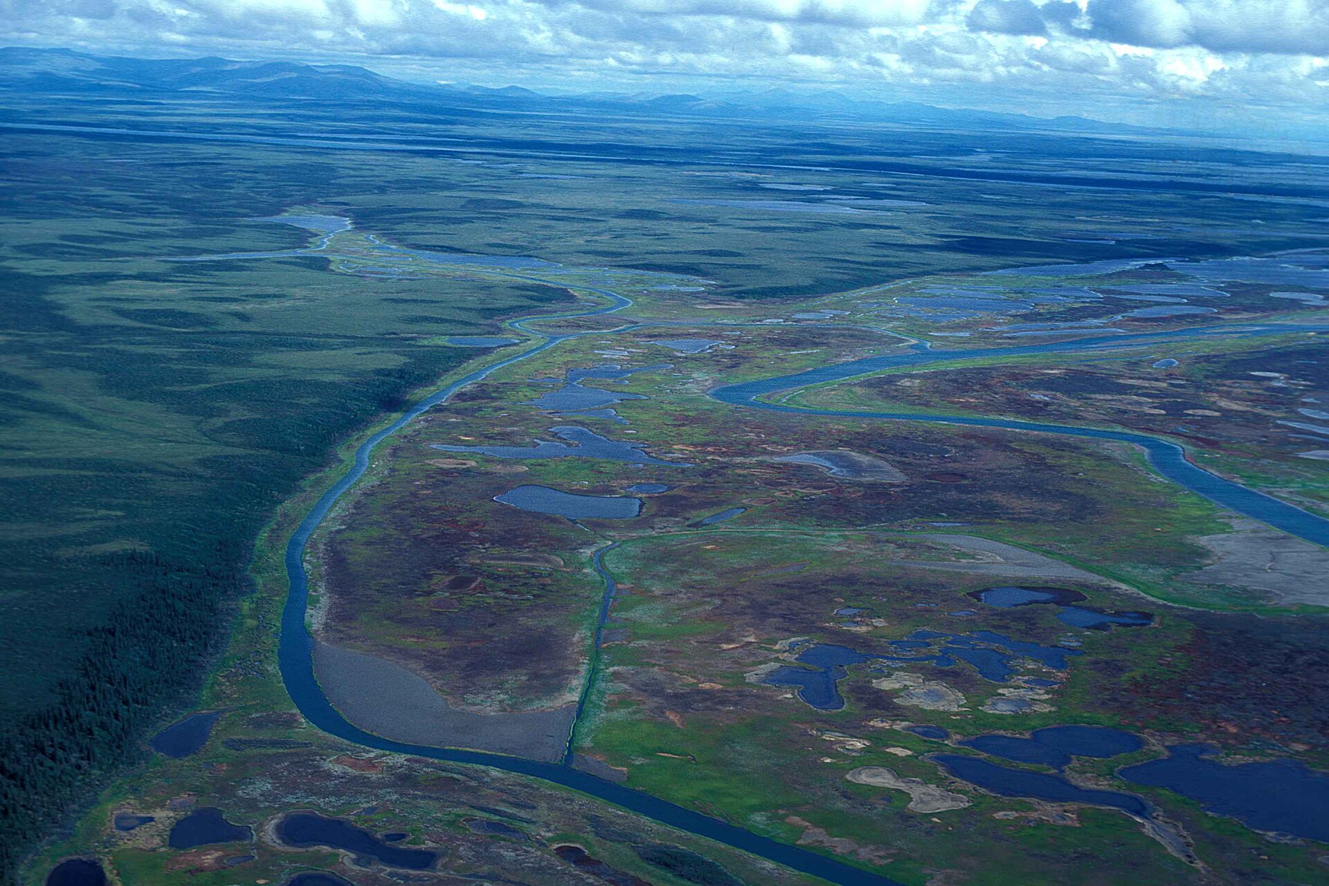 Delta de rivière vu du ciel avec ramifications