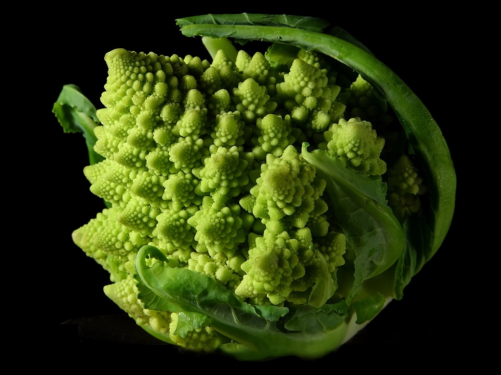 Chou romanesco montrant une structure fractale