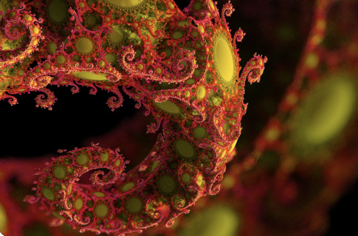 Arbre fractal, spirale de phyllotaxie et ensemble de Mandelbrot
